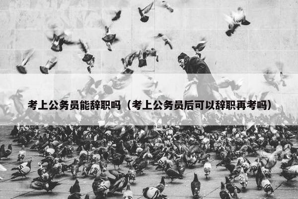 考上公务员能辞职吗（考上公务员后可以辞职再考吗）