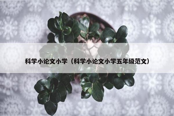 科学小论文小学（科学小论文小学五年级范文）