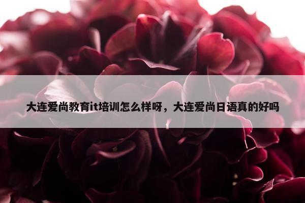 大连爱尚教育it培训怎么样呀，大连爱尚日语真的好吗