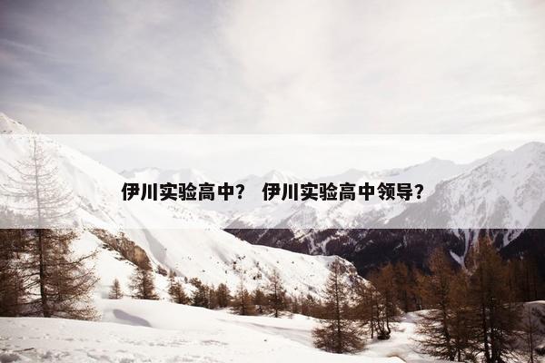 伊川实验高中？ 伊川实验高中领导？