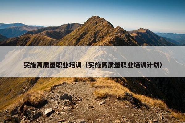 实施高质量职业培训（实施高质量职业培训计划）