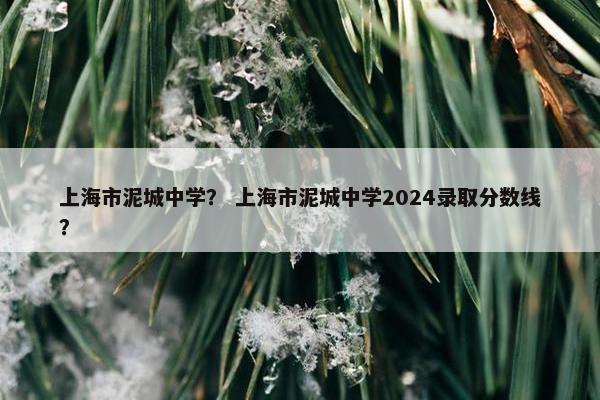 上海市泥城中学？ 上海市泥城中学2024录取分数线？