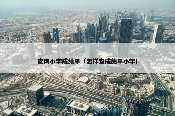 查询小学成绩单（怎样查成绩单小学）