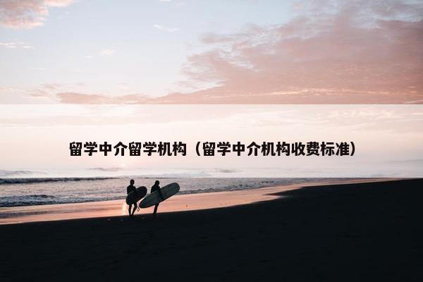 留学中介留学机构（留学中介机构收费标准）