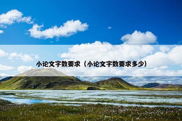 小论文字数要求（小论文字数要求多少）