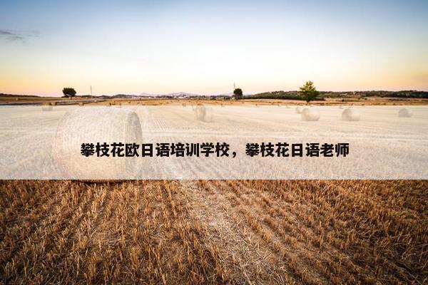 攀枝花欧日语培训学校，攀枝花日语老师