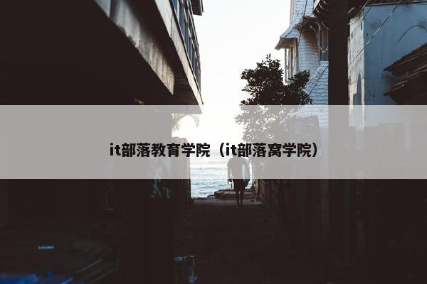 it部落教育学院（it部落窝学院）