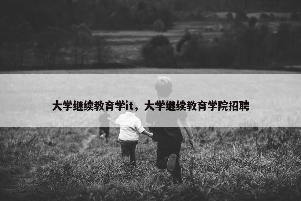 大学继续教育学it，大学继续教育学院招聘