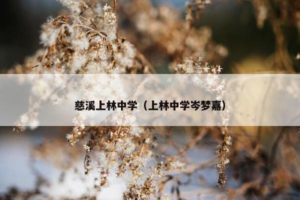慈溪上林中学（上林中学岑梦嘉）