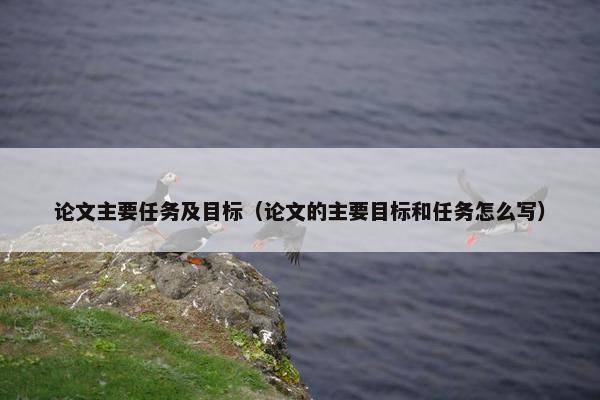 论文主要任务及目标（论文的主要目标和任务怎么写）