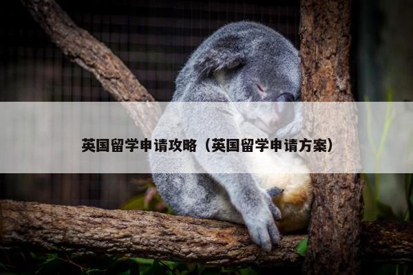 英国留学申请攻略（英国留学申请方案）