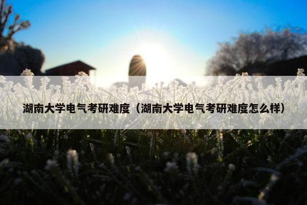 湖南大学电气考研难度（湖南大学电气考研难度怎么样）