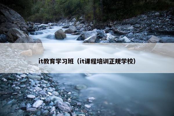 it教育学习班（it课程培训正规学校）