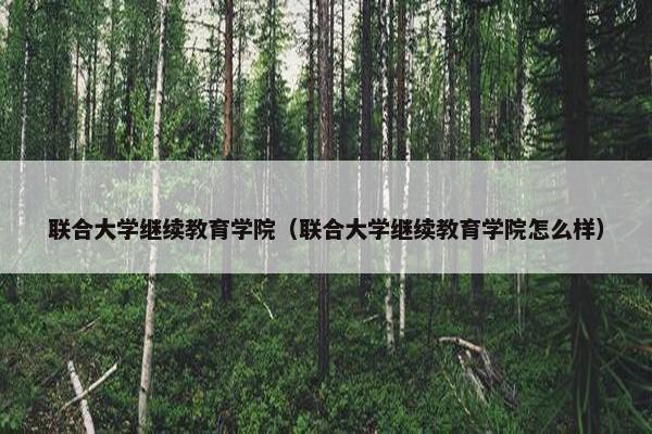 联合大学继续教育学院（联合大学继续教育学院怎么样）