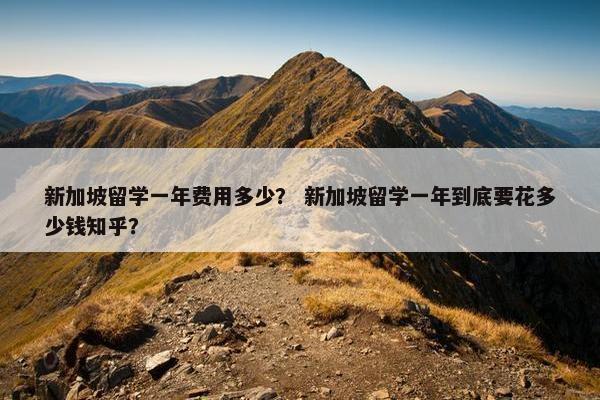 新加坡留学一年费用多少？ 新加坡留学一年到底要花多少钱知乎？