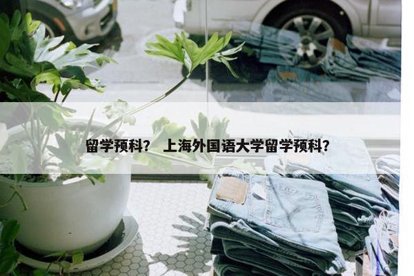 留学预科？ 上海外国语大学留学预科？