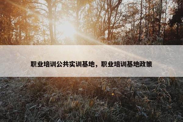 职业培训公共实训基地，职业培训基地政策