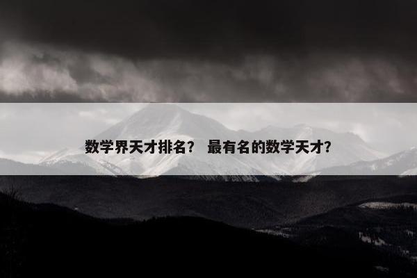 数学界天才排名？ 最有名的数学天才？