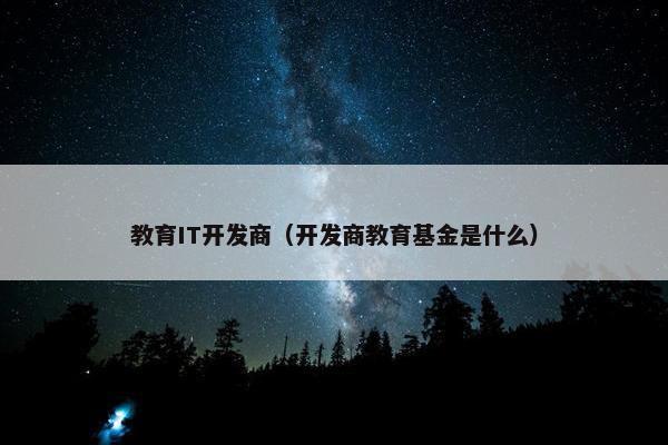 教育IT开发商（开发商教育基金是什么）