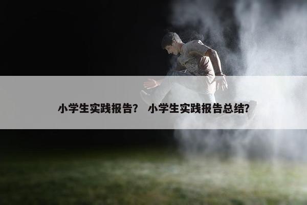 小学生实践报告？ 小学生实践报告总结？