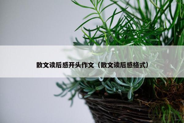 散文读后感开头作文（散文读后感格式）