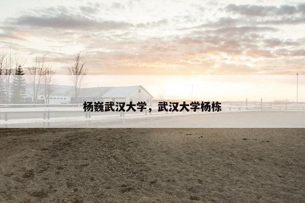 杨巍武汉大学，武汉大学杨栋