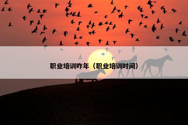 职业培训咋年（职业培训时间）