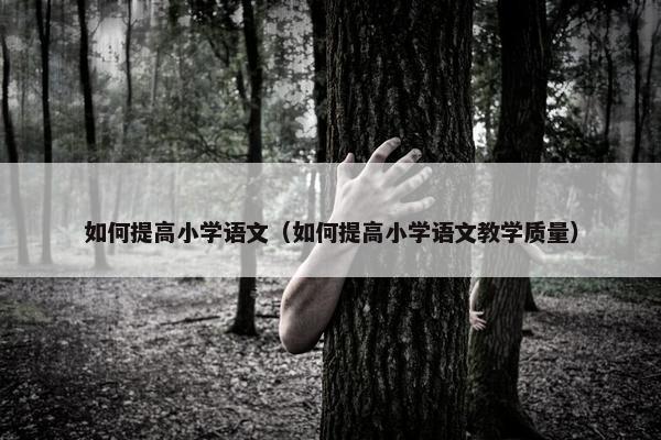 如何提高小学语文（如何提高小学语文教学质量）