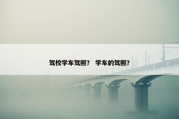 驾校学车驾照？ 学车的驾照？