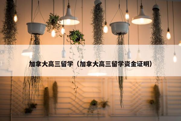 加拿大高三留学（加拿大高三留学资金证明）