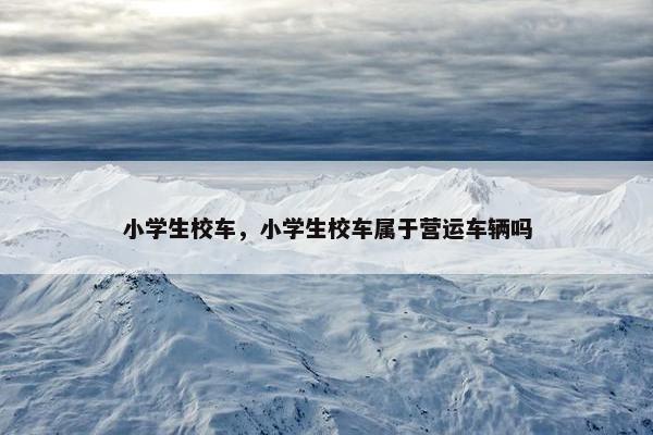 小学生校车，小学生校车属于营运车辆吗