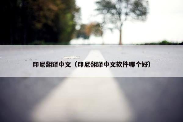 印尼翻译中文（印尼翻译中文软件哪个好）
