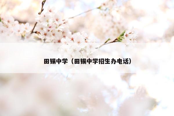 田锡中学（田锡中学招生办电话）