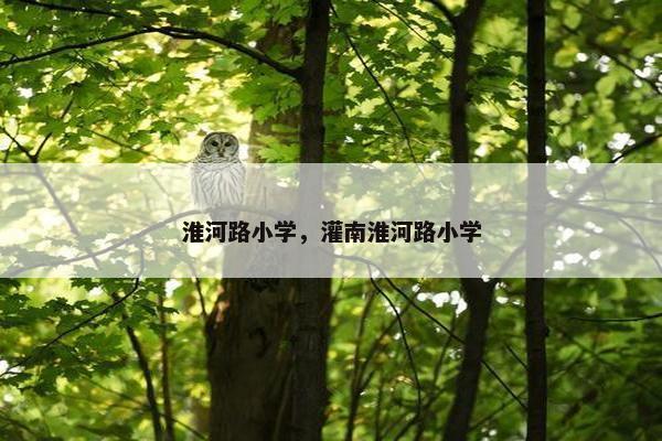 淮河路小学，灌南淮河路小学