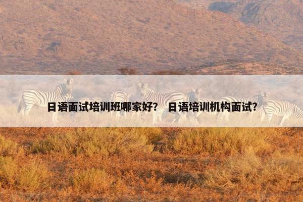 日语面试培训班哪家好？ 日语培训机构面试？