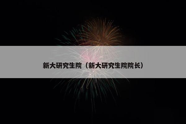 新大研究生院（新大研究生院院长）