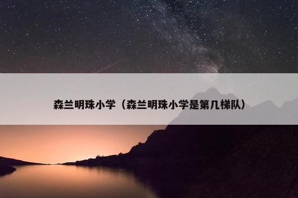 森兰明珠小学（森兰明珠小学是第几梯队）