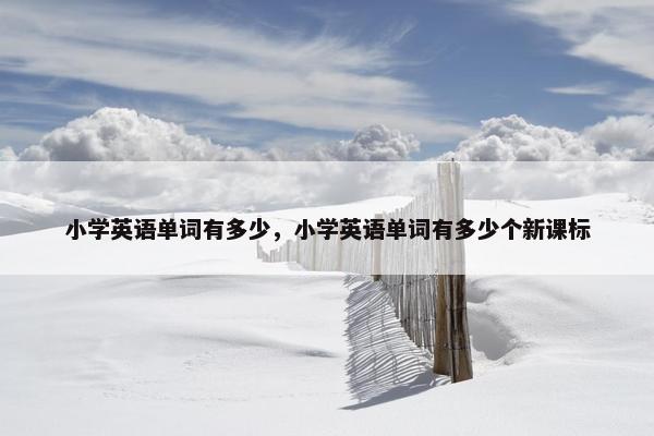 小学英语单词有多少，小学英语单词有多少个新课标