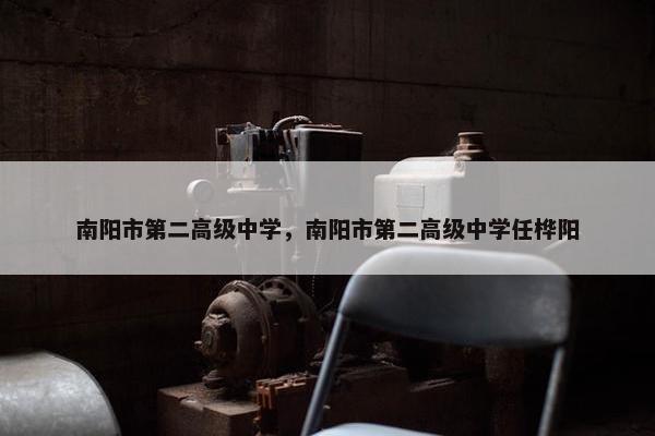 南阳市第二高级中学，南阳市第二高级中学任桦阳