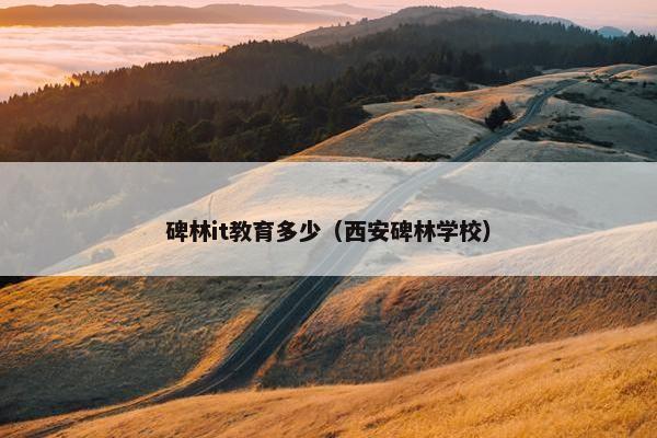 碑林it教育多少（西安碑林学校）
