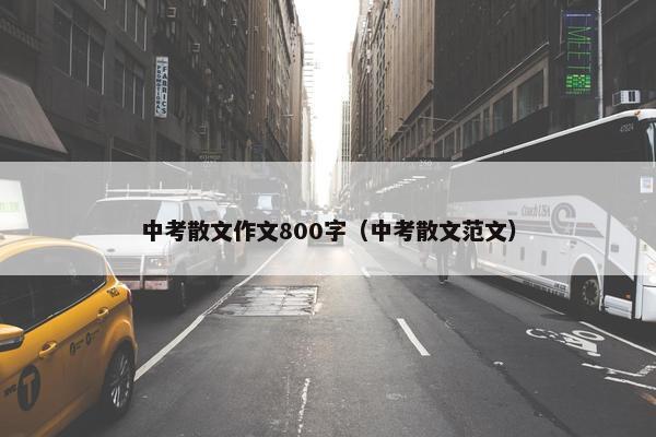 中考散文作文800字（中考散文范文）