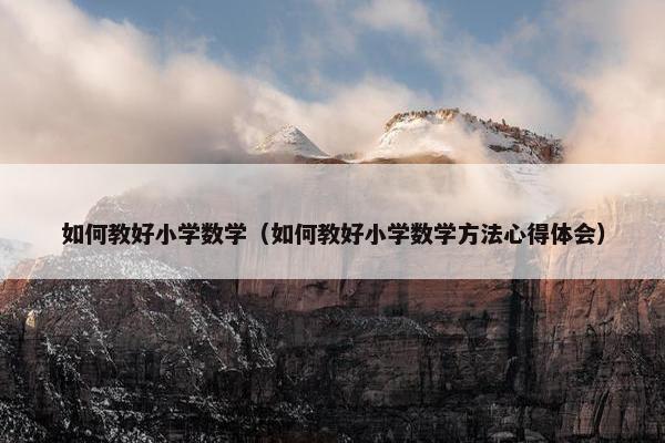 如何教好小学数学（如何教好小学数学方法心得体会）
