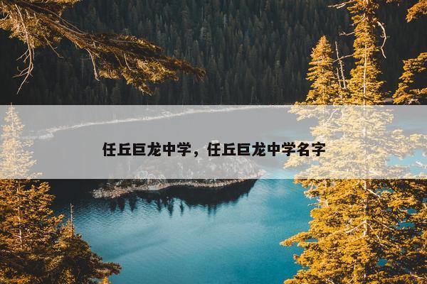 任丘巨龙中学，任丘巨龙中学名字