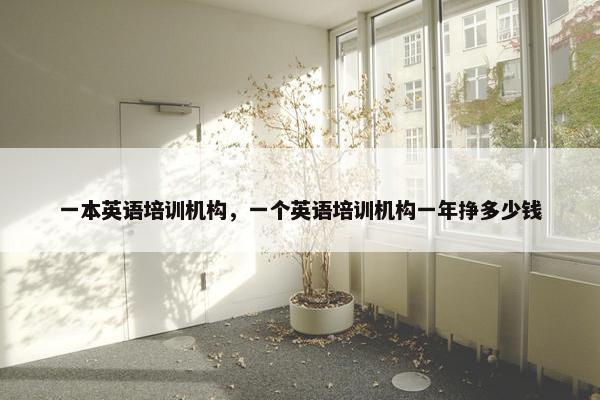 一本英语培训机构，一个英语培训机构一年挣多少钱