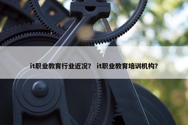 it职业教育行业近况？ it职业教育培训机构？