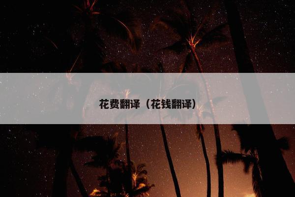 花费翻译（花钱翻译）