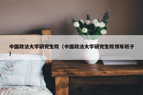 中国政法大学研究生院（中国政法大学研究生院领导班子）