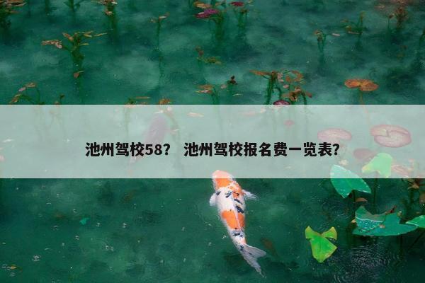 池州驾校58？ 池州驾校报名费一览表？