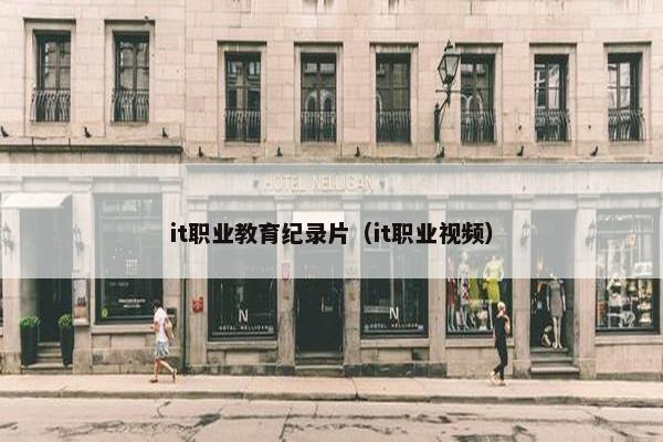 it职业教育纪录片（it职业视频）