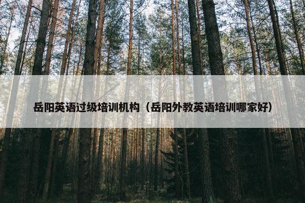 岳阳英语过级培训机构（岳阳外教英语培训哪家好）